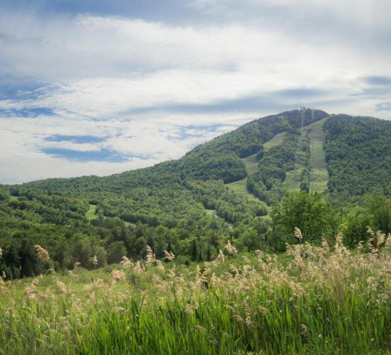 Condo Hotel Au Pied Du Mont אורפורד חדר תמונה